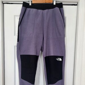 The North Face Men's Denali Pants in Lunar Slate size M
